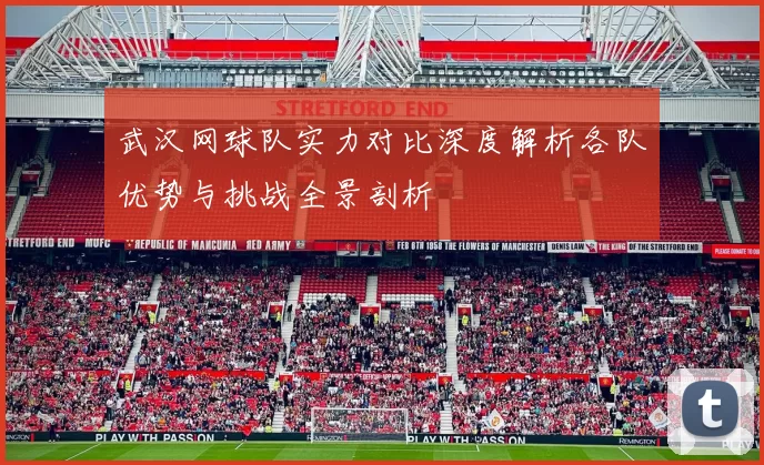 武汉网球队实力对比深度解析各队优势与挑战全景剖析