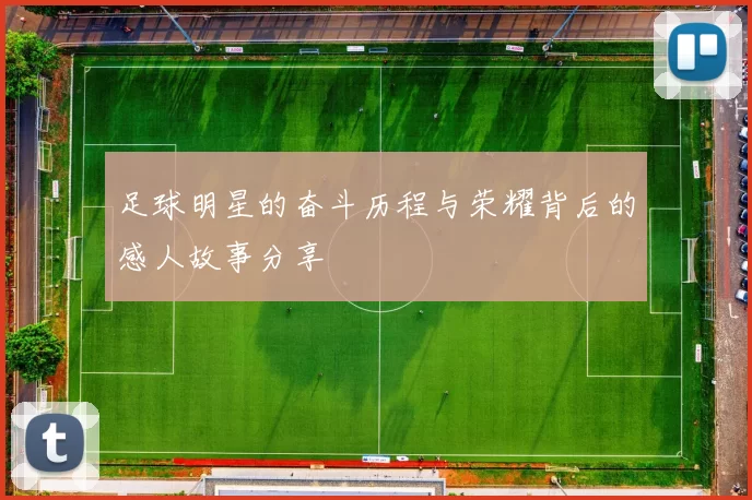 足球明星的奋斗历程与荣耀背后的感人故事分享
