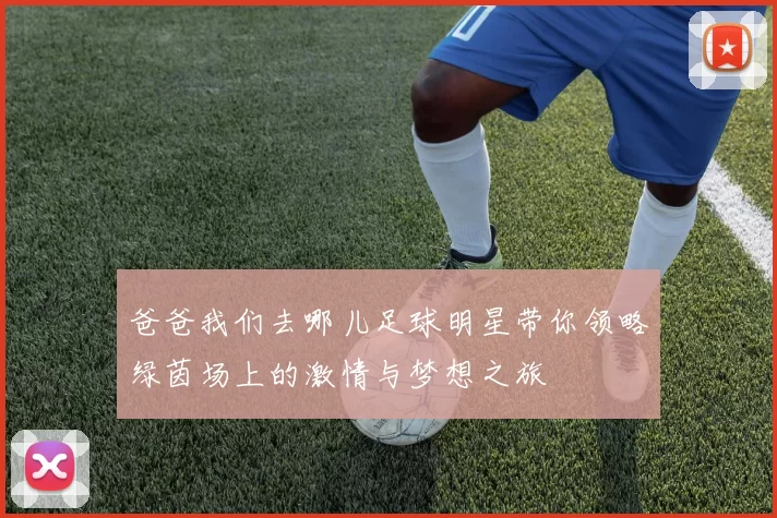 爸爸我们去哪儿足球明星带你领略绿茵场上的激情与梦想之旅