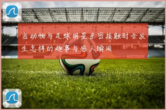 当动物与足球明星亲密接触时会发生怎样的趣事与感人瞬间