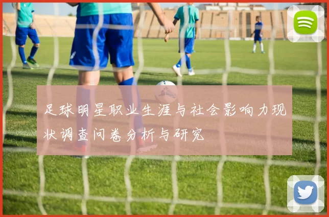 足球明星职业生涯与社会影响力现状调查问卷分析与研究