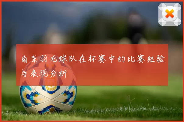 南京羽毛球队在杯赛中的比赛经验与表现分析