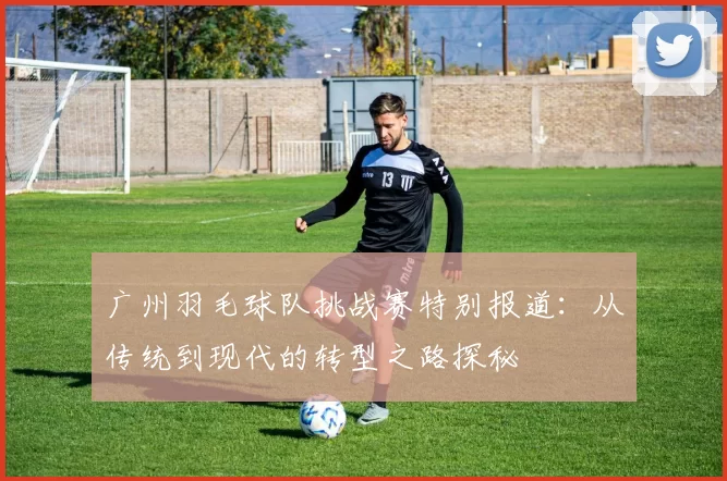 广州羽毛球队挑战赛特别报道：从传统到现代的转型之路探秘