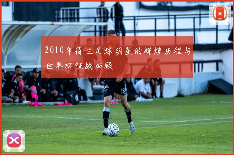 2010年荷兰足球明星的辉煌历程与世界杯征战回顾
