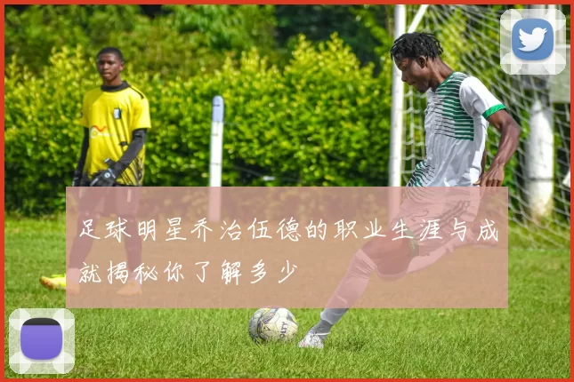 足球明星乔治伍德的职业生涯与成就揭秘你了解多少
