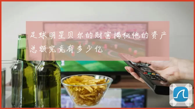 足球明星贝尔的财富揭秘他的资产总额究竟有多少亿