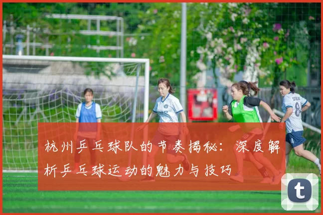 杭州乒乓球队的节奏揭秘：深度解析乒乓球运动的魅力与技巧