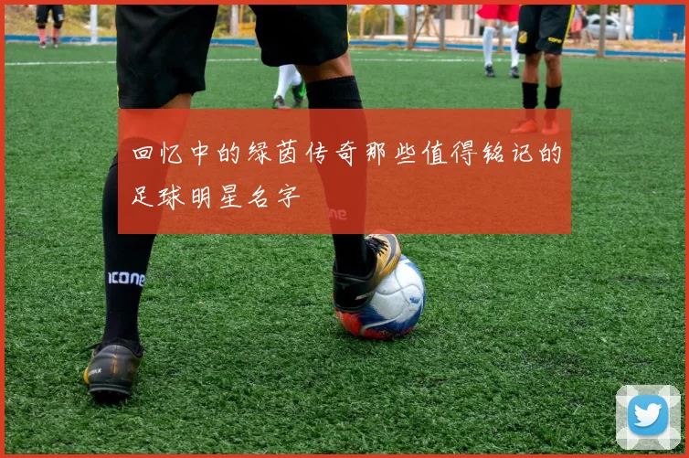 回忆中的绿茵传奇那些值得铭记的足球明星名字